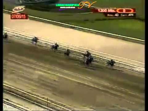 LA RINCONADA 8 CARRERA, DOMINGO 07 DE JUNIO DEL 2015