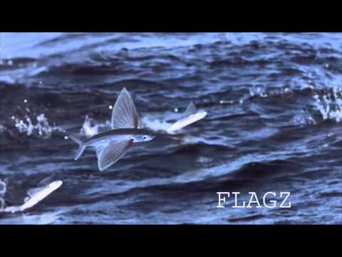 Nothing's Wrong Video Premiere.