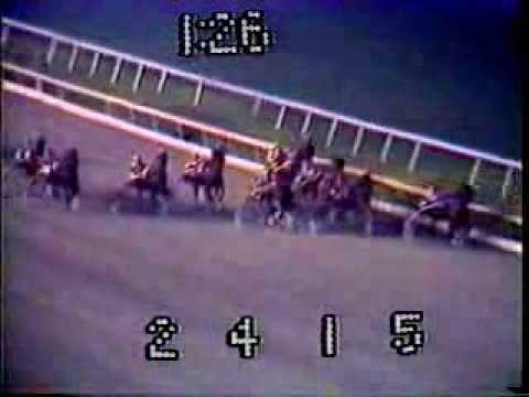 1983 M1 Sweetheart SHANNON FANCY