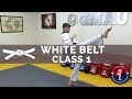 Taekwondo Follow Along Class White Belt Class 1