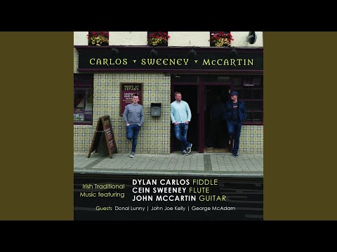 Paddy Taylor’s / Four Leaf Shamrock