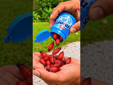 Survival Skills: SMART idea and USEFUL in forest #bushcraft #camping #outdoors #survival