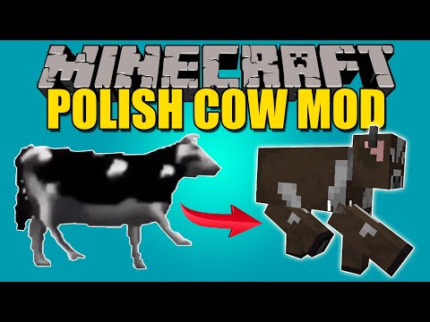 POLISH COW MOD - Polish Cow Meme mod!!!  - Minecraft mod 1.16.4 Review SPANISH