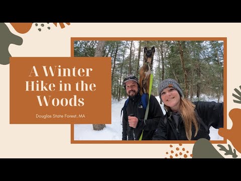 Snowshoe hike through the snowy woods at Douglas State Forest in Massachusetts