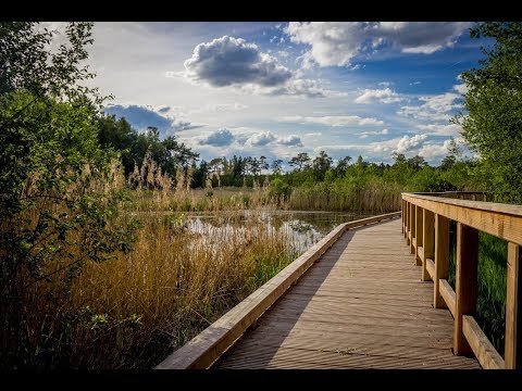 Hessenbilder - Der Schwalm