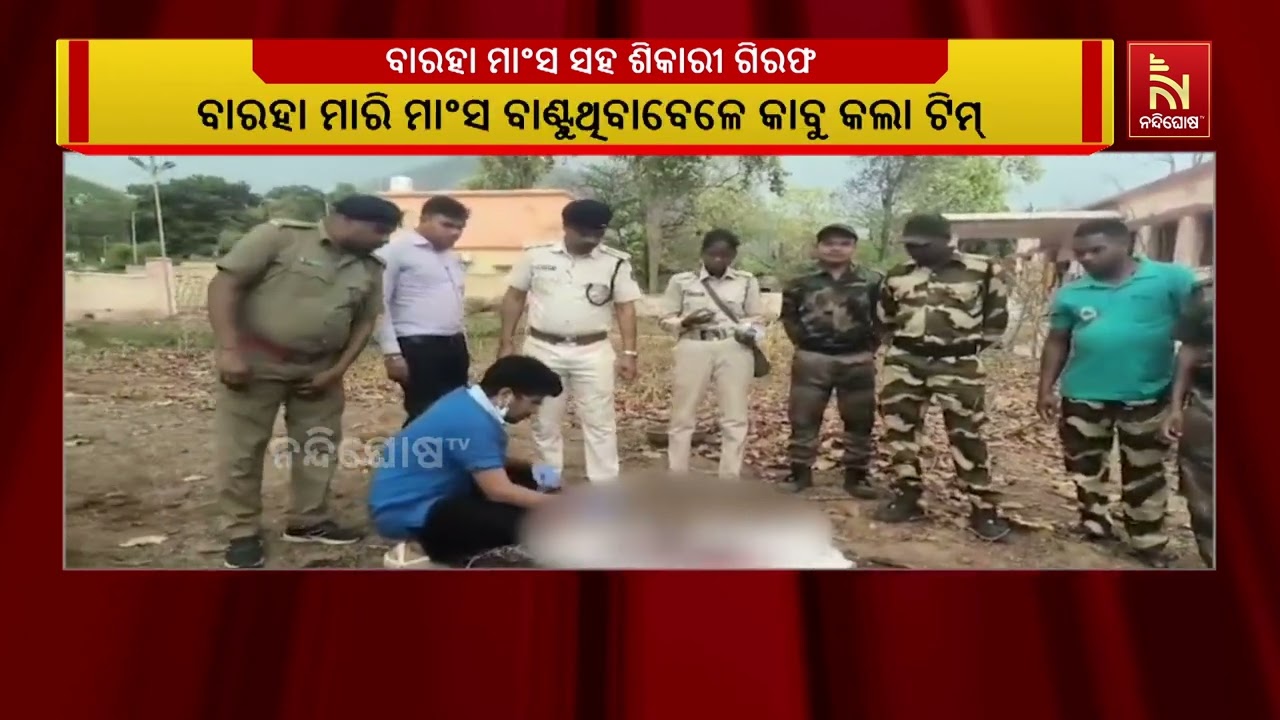 ବୌଦ୍ଧ ଜିଲ୍ଲା ମାଧପୁର ରେଞ୍ଜରେ ବାରହା ଶିକାର କରିବା ଅଭିଯେ?