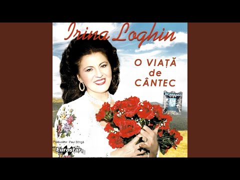 Zi din struna, lautare