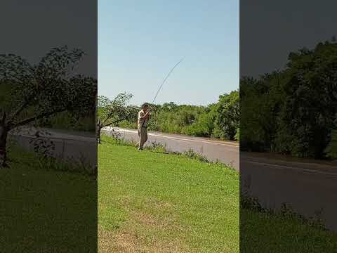 #pesca en San Nicolás de los arroyos #pesca #arroyo #buenos aires # Argentina