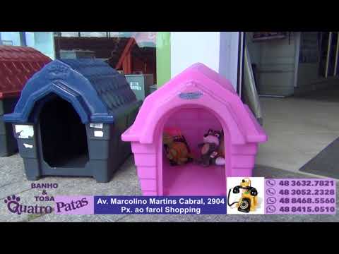 Quatro Patas Pet Shop... 