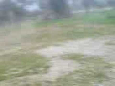 gimnou teeerla TSOLAKOS AGGELOS