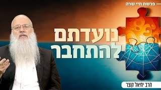 הסיבה האמיתית שהקב"ה חיבר דווקא אתכם - למרות כל ההבדלים | פרשת חיי שרה (הרב יחיאל קוצר) - התמונה מוצגת ישירות מתוך אתר האינטרנט יוטיוב. זכויות היוצרים בתמונה שייכות ליוצרה. קישור קרדיט למקור התוכן נמצא בתוך דף הסרטון