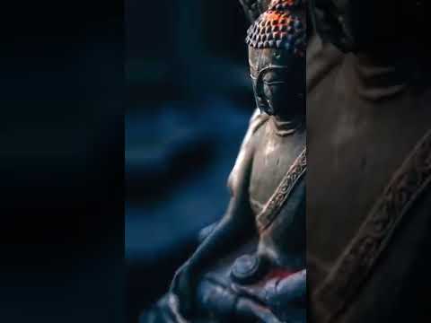 Gautam Buddha 4k Full Screen Status !! #lordbuddha #buddhastatus
