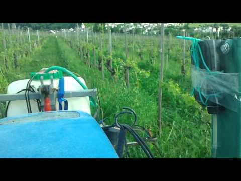 Veldenzerhof Vinasse-Flüssig-Düngung