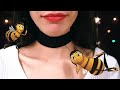 ASMR Entire Bee Movie Script Whispered Ear To Ear RECOVERED VIDEO
