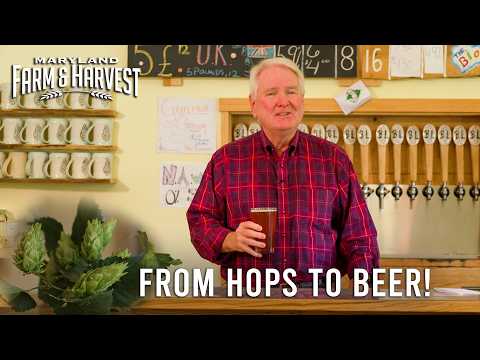 Turning Hops into Beer | Maryland Farm & Harvest