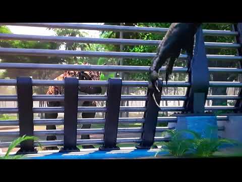 Jurassic world camp cretaceous | indominus rex setting Toro free scene