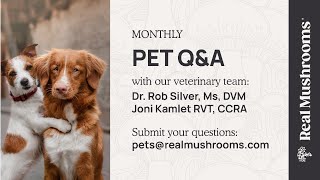 April 2024 Live Pet Q&A with Dr. Rob Silver DVM, MS & Jordan Swain, CSM
