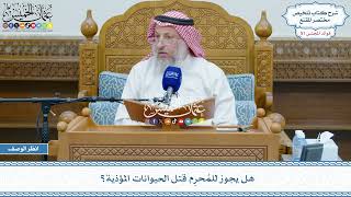 2655 - هل يجوز للمُحرِم قتل الحيوانات المؤذية؟ - عثمان الخميس