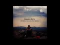 Damien Rice What If I M Wrong BEH
