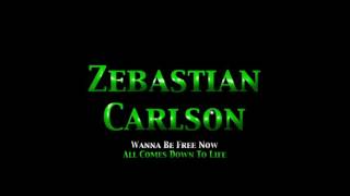 All Comes Down To Life - Zebastian Carlson
