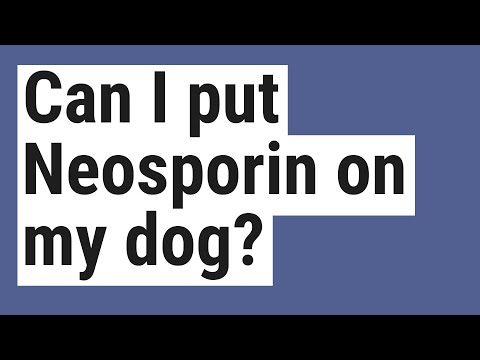 Can I put Neosporin on my dog?
