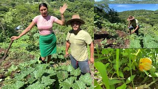 Download lagu Rosi El Ejemplo de Las Mujeres Trabajadoras del Campo [Ep7] mp3