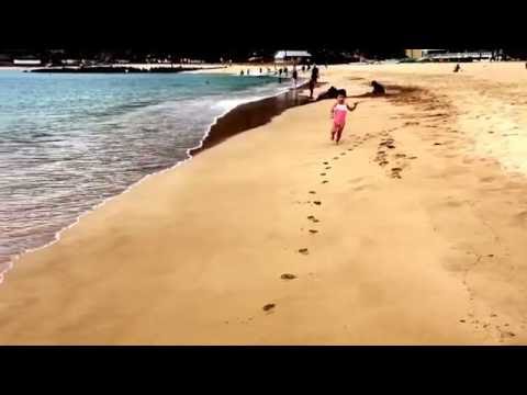 nima loves running on sand