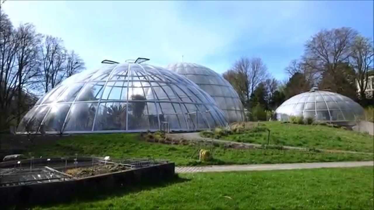 Embark on a captivating virtual tour of Zurich's mesmerizing Botanical Garden.