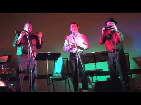 The Tattooed Lady - The Harmaniacs