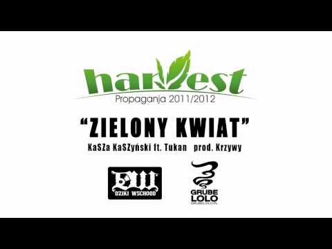 04. ZIELONY KWIAT -- KaSZa KaSZyński ft. Tukan  PROD. KRZYWY