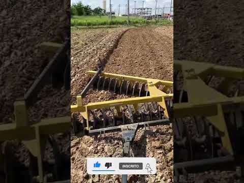 VAI GRADEAR O SOLO? VOCÊ PRECISA OUVIR ESSA DICA!!!