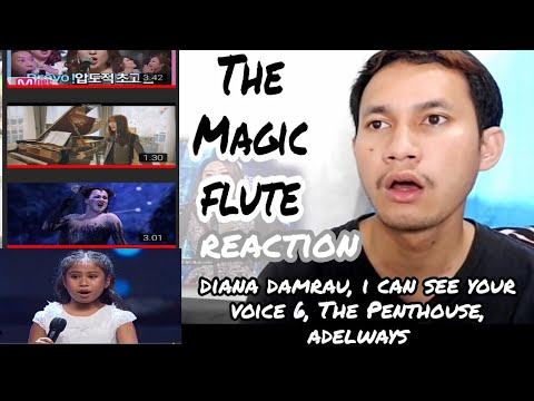 The Magic Flute by Diana Damrau I Can See Your Voice Korea The Penthouse dan Adelways They'r AMAZING