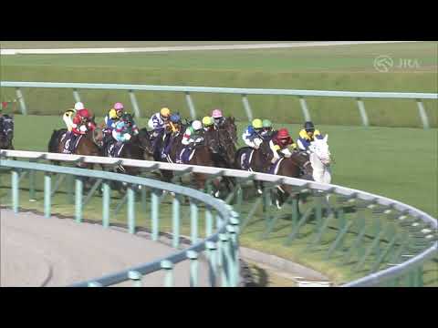 Akaitorino Musume upsets Sodashi in the Shuka Sho