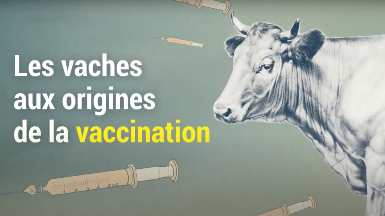 Le vaccin, une découverte ancestrale et étonnante | Histoire(s) de virus ??