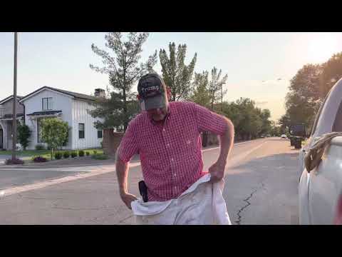 How to Get Rid of Bees Without Killing Them