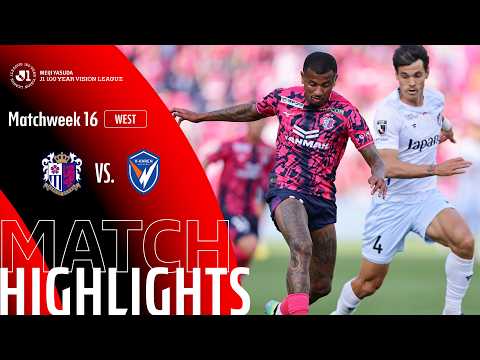 bg-highlight
