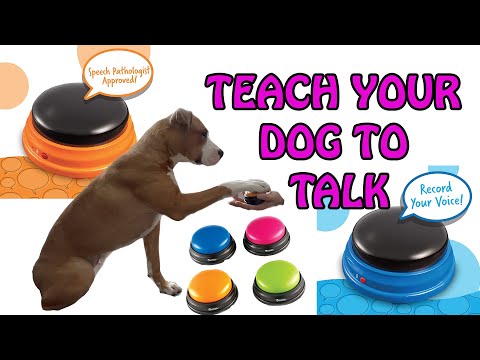 Teach Your Dog How To Speak: Communicating with talking buttons #tiktok