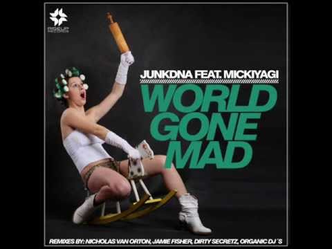 JunkDNA Feat  Mickiyagi   World Gone Mad   Organic DJs Remix