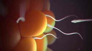 İNSANIN YARATILIŞ SERÜVENİ ᴴᴰ