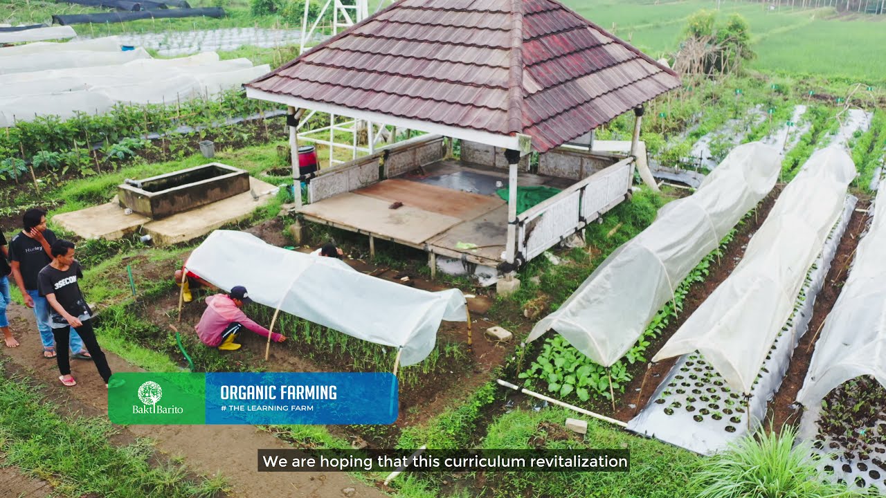 Bakti Pangan Lestari: Sustainable Agriculture Curriculum Pilot in Jambi | Bakti Barito Foundation