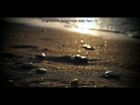 Progressive Experience 2022 Part II [Progressive house, Organic house, Melodic techno] [Mix]