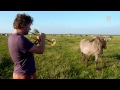Trompettist Eric Vloeimans speelt in bioscoopfilm
