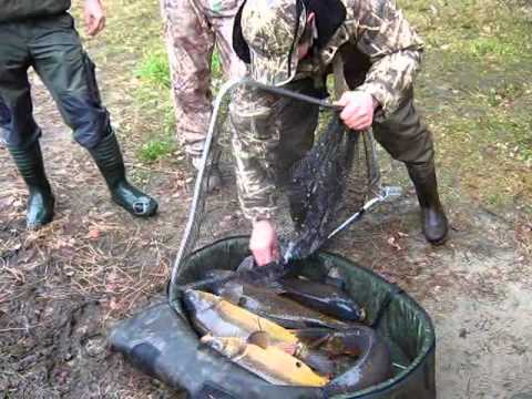 Tuszynek pierwsza zasiadka 2014 i dorybianie karpiem - Carp Team Trójmiasto