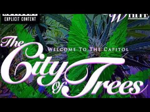 THE CITY OF TREES#[the devils block]#VOLUMEone