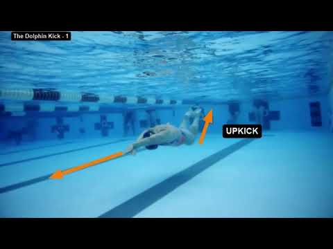Dolphin Kick Technique - click to play video
