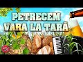 PETRECERE Petrecem Vara La Ţară