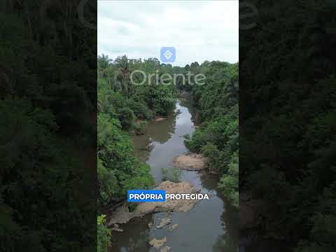 🌿 PARAÍSO AGROFLORESTAL ÀS MARGENS DO RIO TOCANTINS | OPORTUNIDADE DE NEGÓCIO!