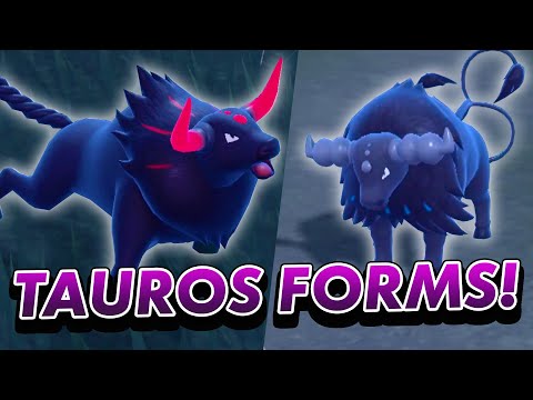 How to Get Fire/Fighting & Water/Fighting Paldean Tauros in Pokemon Scarlet and Violet