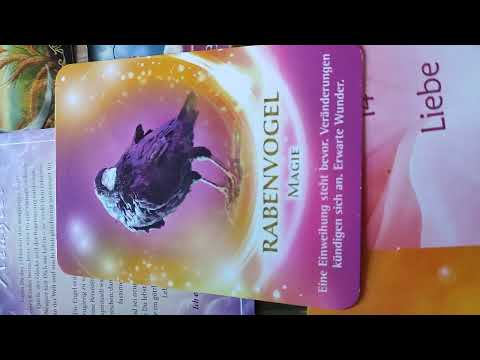 Grosse Wunschpartner Legung 🤸Euer Treffen steht an🌹💕 #seelenpartner #liebeslegung #wunschpartner