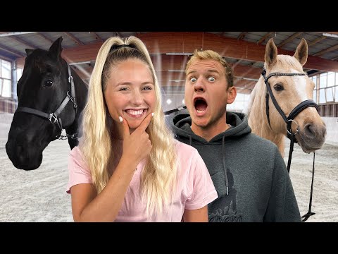 PFERDETAUSCH mit MATTHES